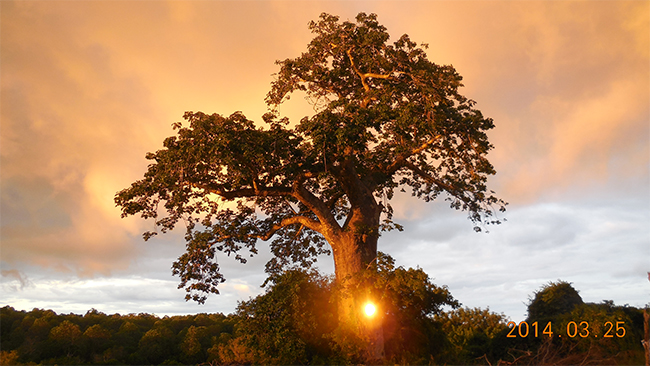 55世纪海工最美施工摄影作品展(一) 55世纪海工最美施工摄影作品展(一)