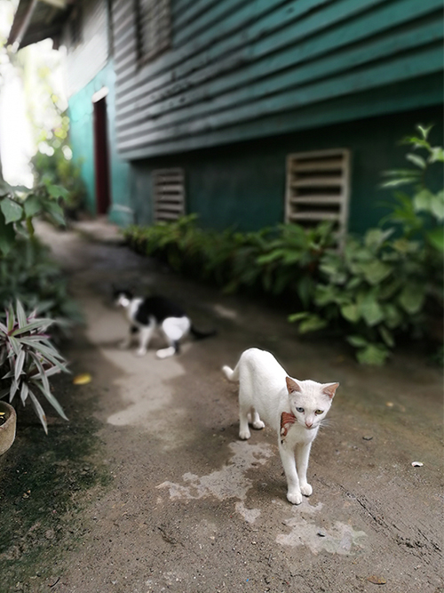 55世纪海工最美施工摄影作品展(一) 55世纪海工最美施工摄影作品展(一)