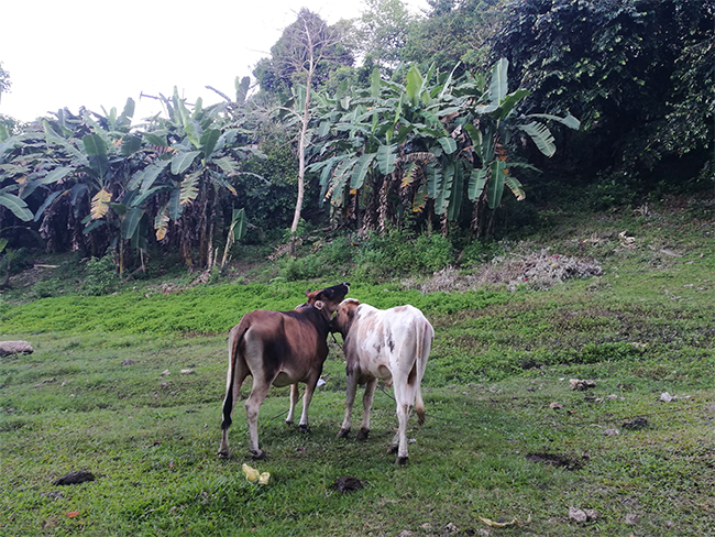 55世纪海工最美施工摄影作品展(一) 55世纪海工最美施工摄影作品展(一)