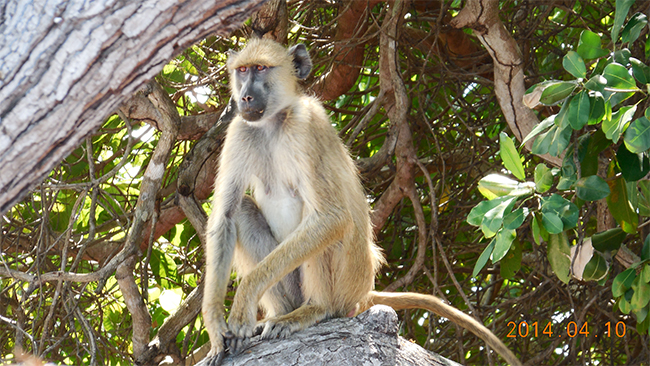 55世纪海工最美施工摄影作品展(二) 55世纪海工最美施工摄影作品展(二)