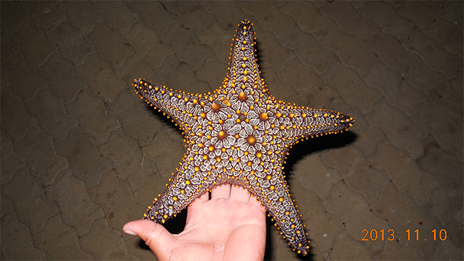 55世纪海工最美施工摄影作品展(二) 55世纪海工最美施工摄影作品展(二)